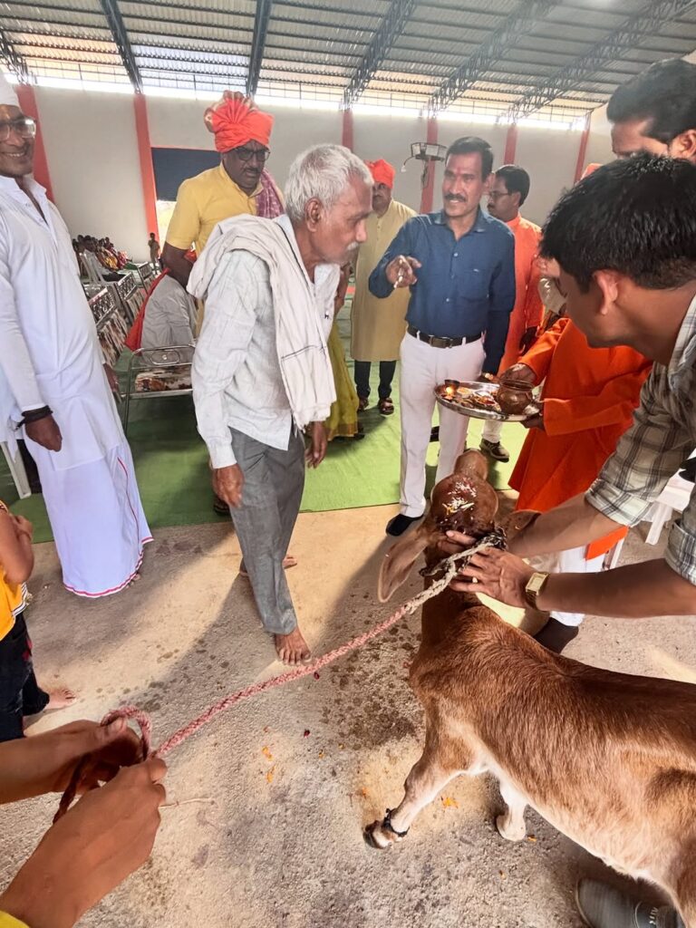 Hindu Festival Begins with Sacred Cow Ceremony in Chikhali Mandal