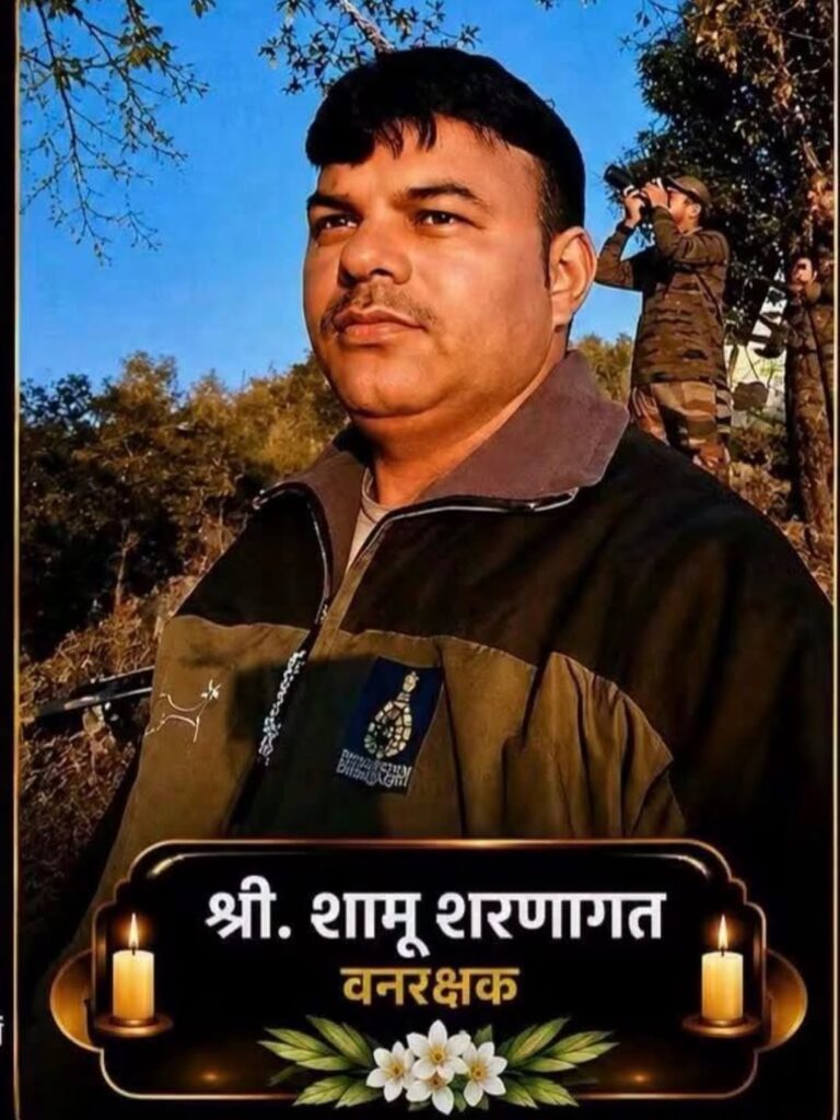 Forest Officer, Ex-Soldier Dies in Mishap in Parsonagar